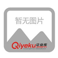 山東濟柴雙燃料機組，雙燃料發(fā)電機，雙燃料發(fā)電機組